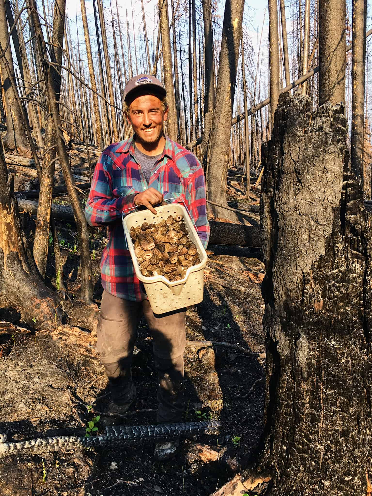 La belle récolte de champignons d'Arnoul Matteo